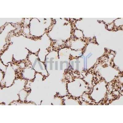 Валидация Affinity DF3090 - 13842