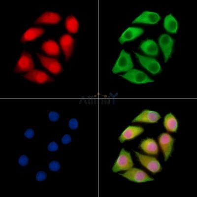 Валидация Affinity DF14354 - 10265