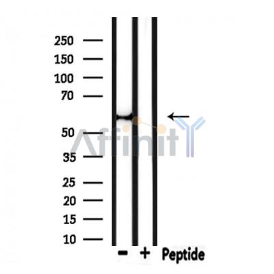Валидация Affinity DF7602 - 19373