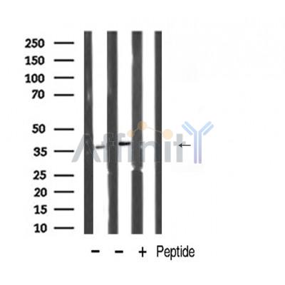 Валидация Affinity DF6552 - 17991