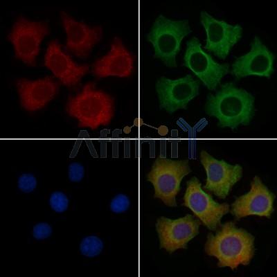 Валидация Affinity DF8364 - 20229