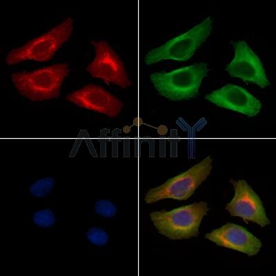 Валидация Affinity AF4351 - 2179