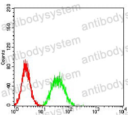 Валидация AntibodySystem RHJ57501