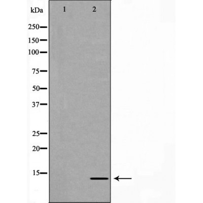 Валидация Affinity DF7419 - 19159