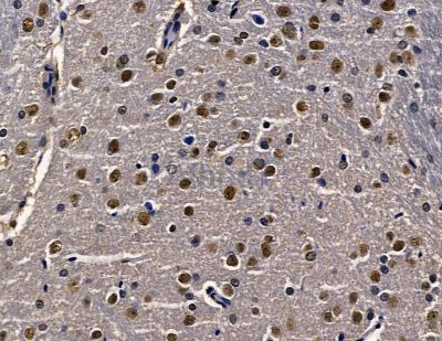 Валидация Affinity DF14013 - 9775