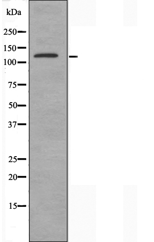 Валидация Affinity DF3247 - 14087