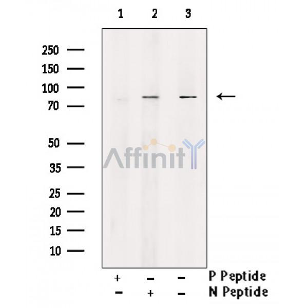 Валидация Affinity DF2980 - 13721