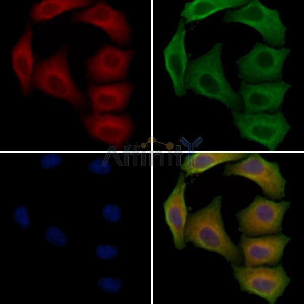 Валидация Affinity DF4788 - 16519