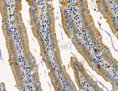 Валидация Affinity DF15268 - 11554