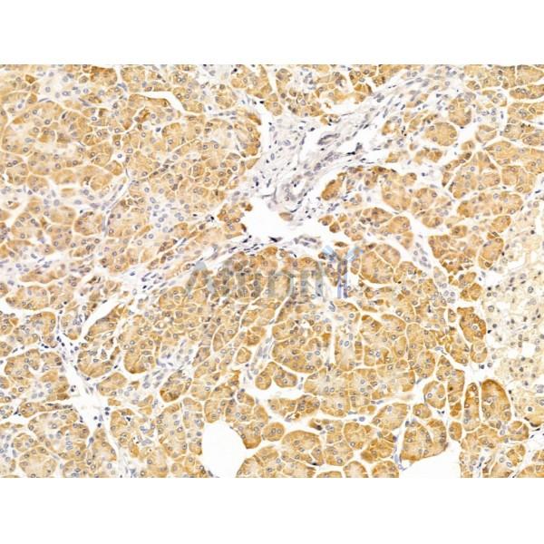 Валидация Affinity AF5392 - 3031