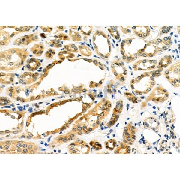 Валидация Affinity DF12447 - 6977