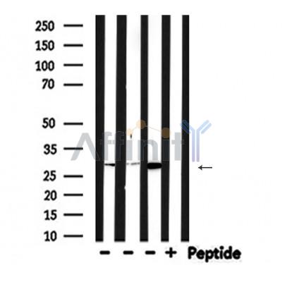 Валидация Affinity DF6413 - 17781