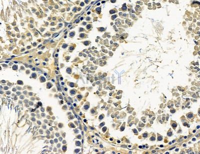 Валидация Affinity DF15531 - 11917