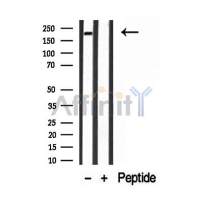 Валидация Affinity DF12165 - 6363