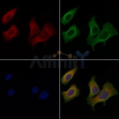 Валидация Affinity AF5478 - 3152