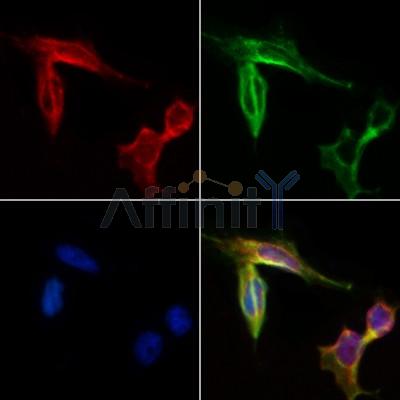 Валидация Affinity AF5293 - 2835