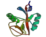 C-Type Lectin Domain Family 2, Member C (CLEC2C) C-Type Lectin Domain Family 2, Member C (CLEC2C)