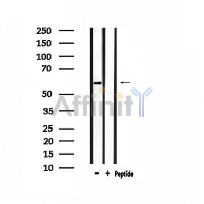 Валидация Affinity DF3453 - 14361