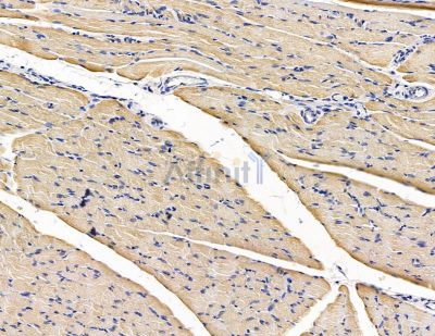 Валидация Affinity DF15503 - 11879