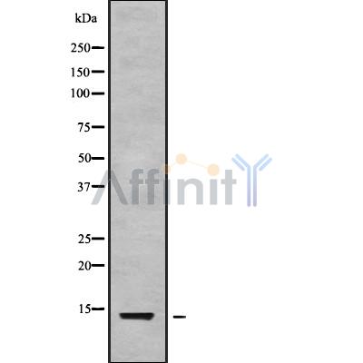 Валидация Affinity DF9693 - 22472