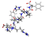 Angiotensin II (AngII) Angiotensin II (AngII)