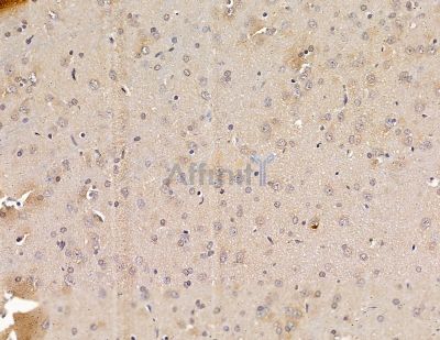 Валидация Affinity DF9948 - 22956