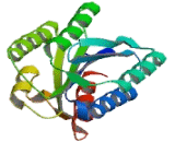 Anthrax Toxin Receptor 2 (ANTXR2) Anthrax Toxin Receptor 2 (ANTXR2)