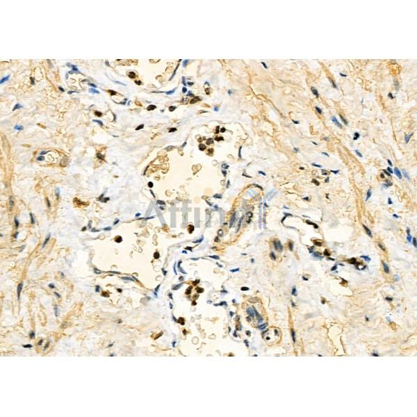 Валидация Affinity DF7585 - 19353