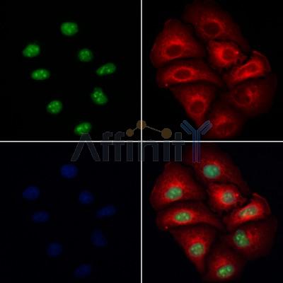 Валидация Affinity AF4022 - 2125