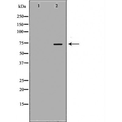 Валидация Affinity DF7327 - 19023