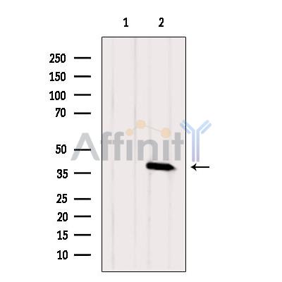 Валидация Affinity DF4308 - 15733