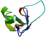 G Protein Coupled Receptor 158 (GPR158) G Protein Coupled Receptor 158 (GPR158)