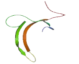 Endoplasmic Reticulum Golgi Intermediate Compartment Protein 2 (ERGIC2)
