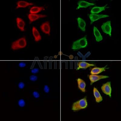 Валидация Affinity DF13734 - 9377