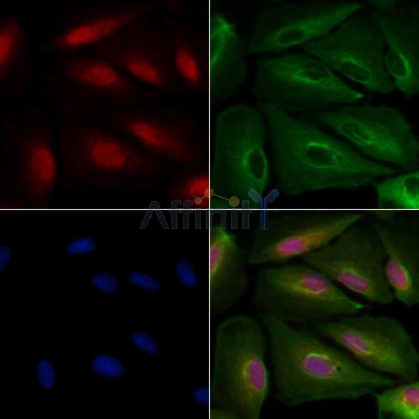 Валидация Affinity DF8124 - 19975