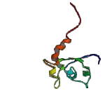 Receptor Accessory Protein 3 (REEP3) Receptor Accessory Protein 3 (REEP3)