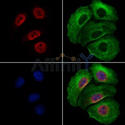 Валидация Affinity AF6446 - 3764