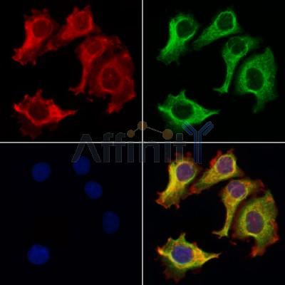 Валидация Affinity AF6197 - 3426