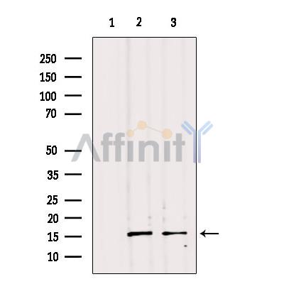 Валидация Affinity DF9778 - 22618