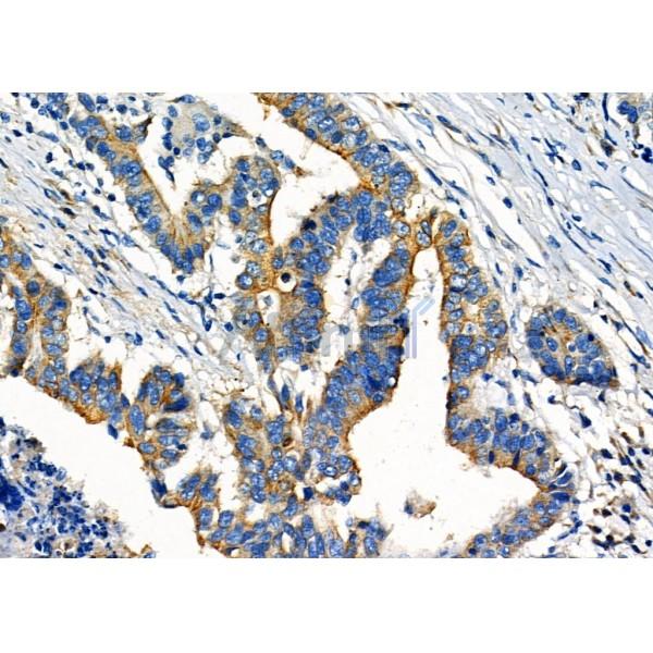 Валидация Affinity DF8907 - 21032