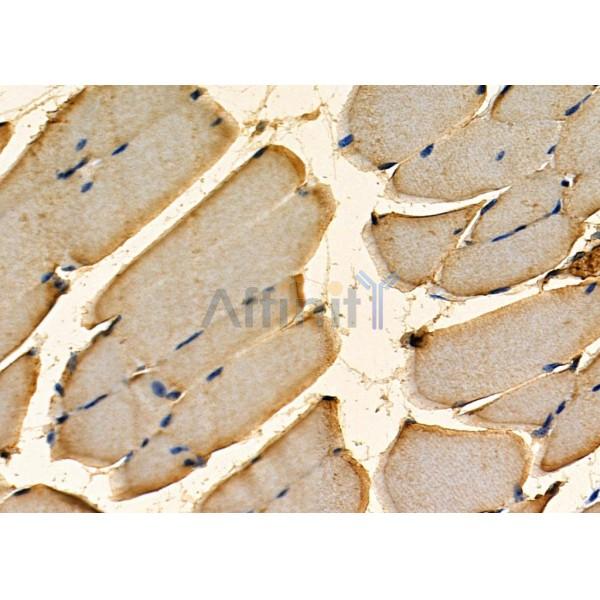 Валидация Affinity DF12728 - 7403