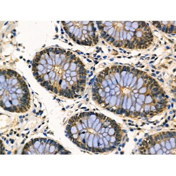 Валидация Affinity DF3089 - 13839