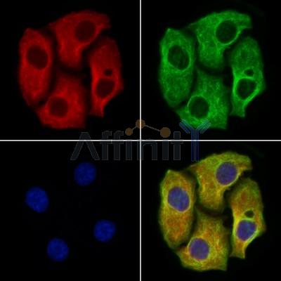 Валидация Affinity DF13317 - 8481