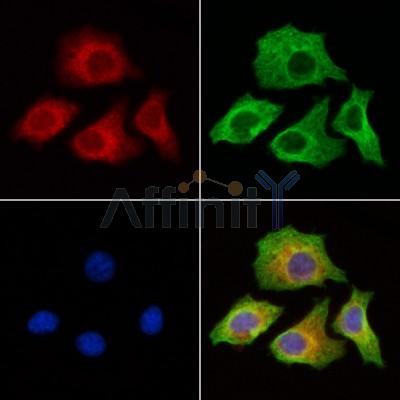 Валидация Affinity AF6462 - 3786