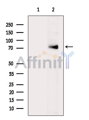 Валидация Affinity DF13795 - 9469