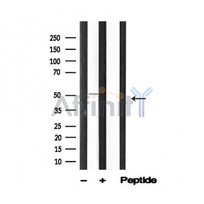 Валидация Affinity AF4749 - 2368