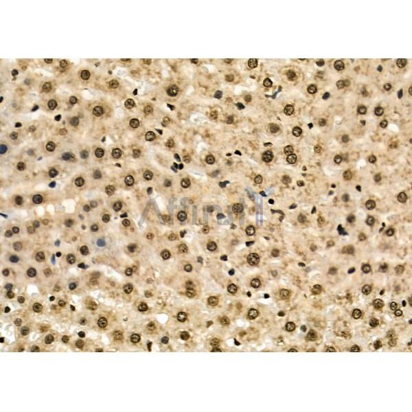 Валидация Affinity DF8758 - 20778