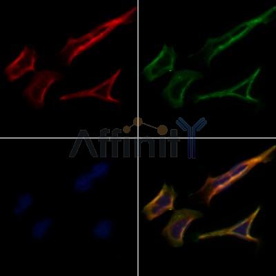 Валидация Affinity DF12708 - 7371