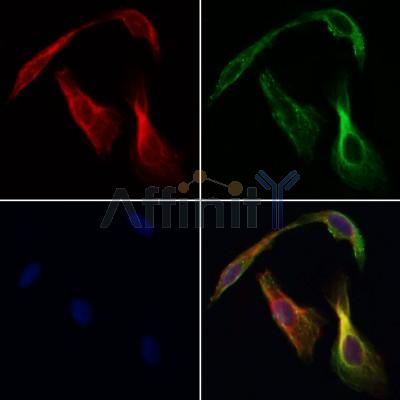 Валидация Affinity DF12581 - 7194