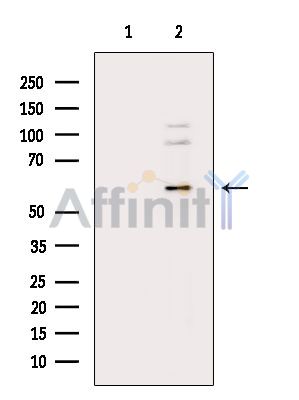 Валидация Affinity DF13942 - 9689